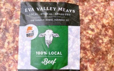 Carnivore/Offal Mince – What is it and why should I try it?