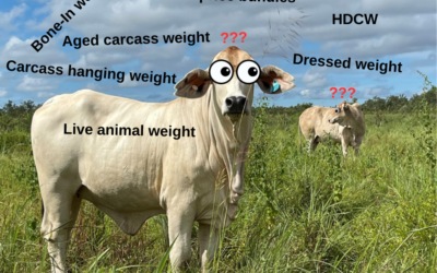 Carcass weight terms – what do they mean?