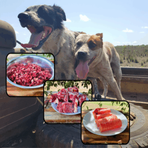 Pet Food Bundle